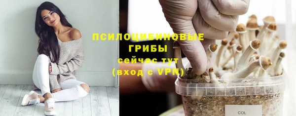 apvp Армянск