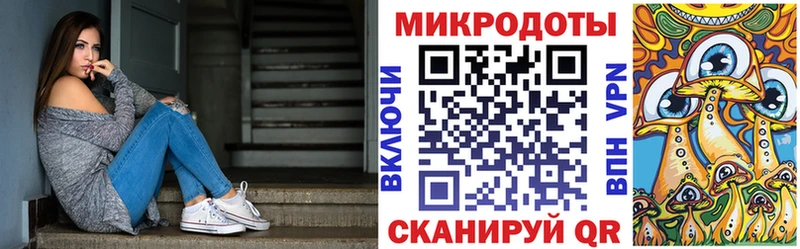 купить   блэк спрут как войти  Псилоцибиновые грибы Magic Shrooms  Судак 